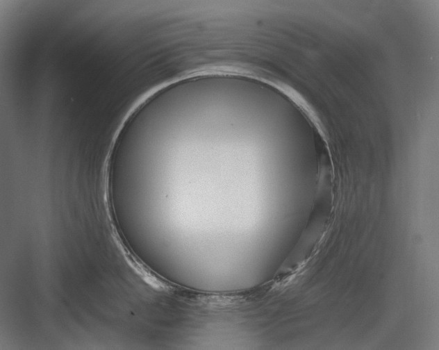 X0000082690862200702161722