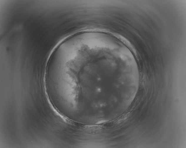 X0000082690863200702161722