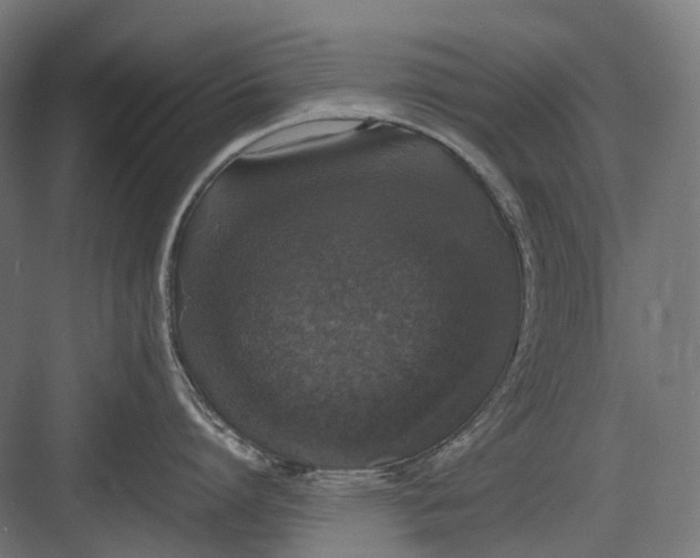 X0000082690864200702161722