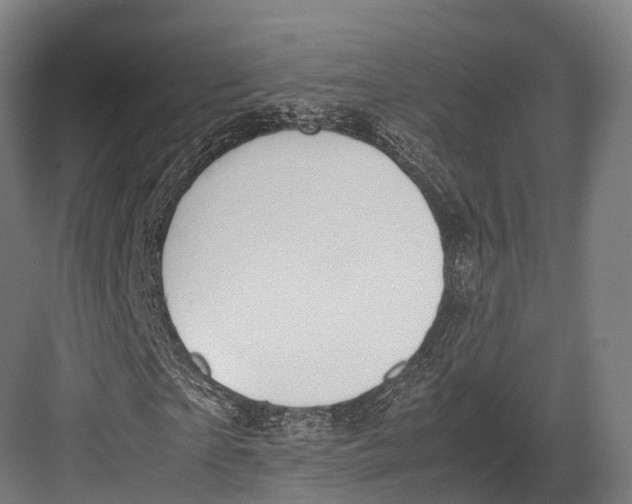 X0000082690865200702161721