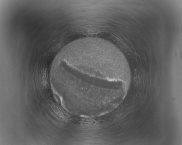 X0000082690866200702161721