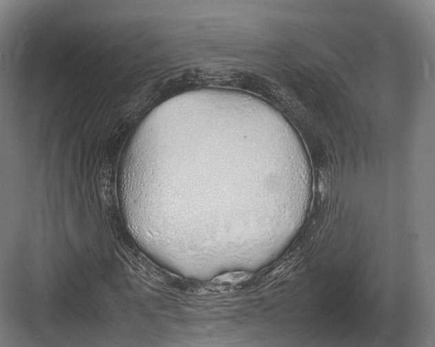 X0000082690867200702161721