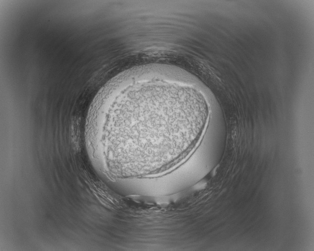 X0000082690868200702161721