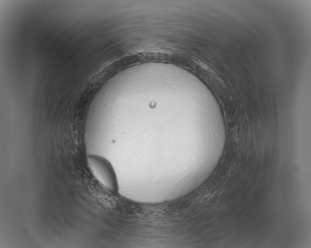 X0000082690870200702161721