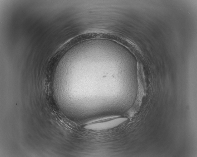 X0000082690872200702161721