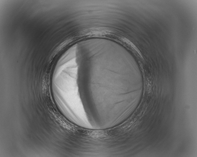 X0000082690874200702161721