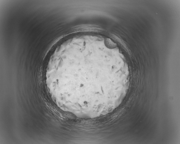 X0000082690875200702161721