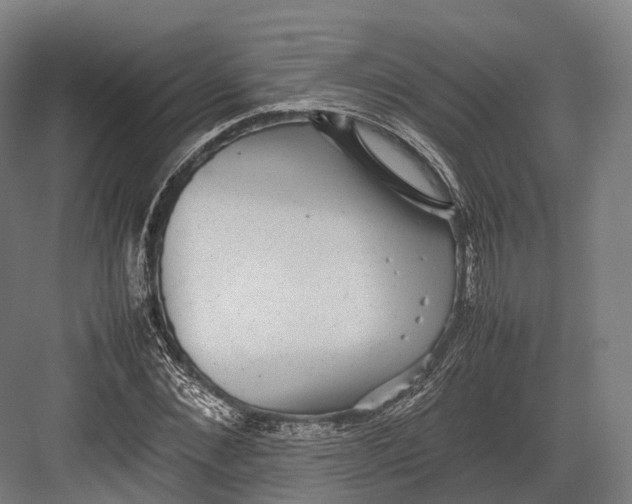 X0000082690876200702161721