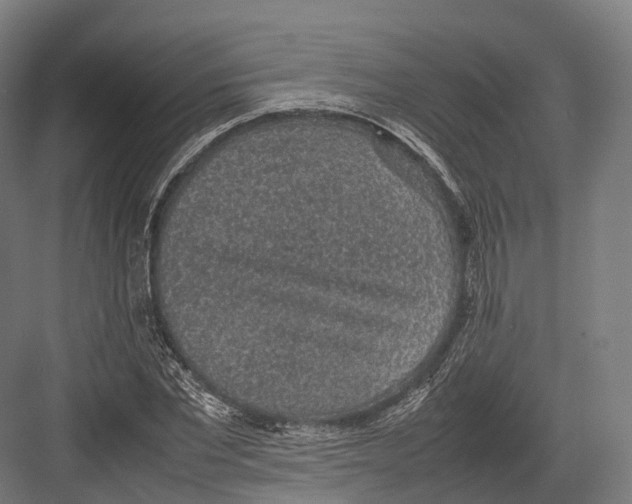 X0000082690877200702161721