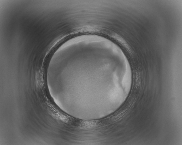 X0000082690878200702161721