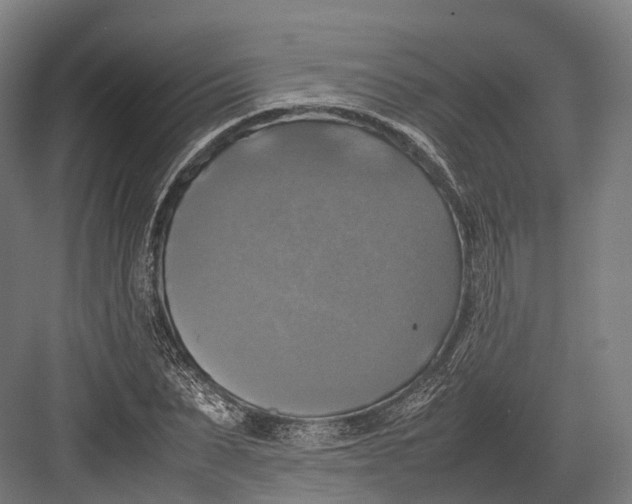 X0000082690879200702161721