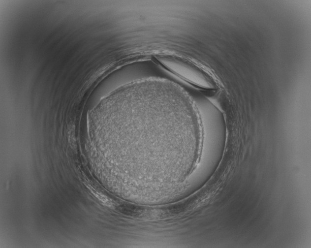 X0000082690881200702161721