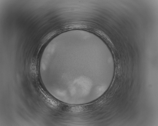 X0000082690882200702161721