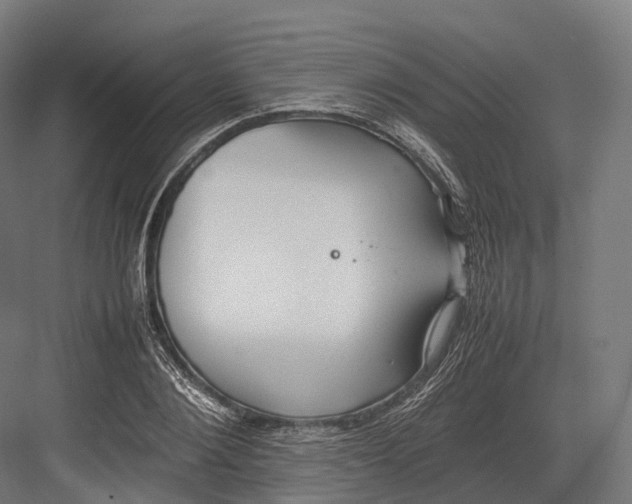 X0000082690884200702161721