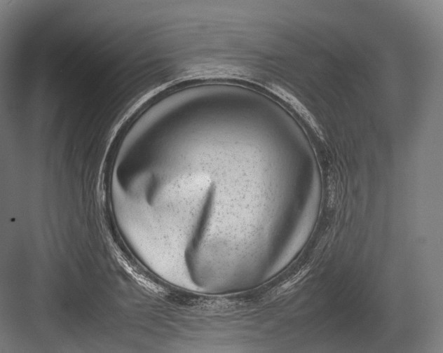 X0000082690885200702161721