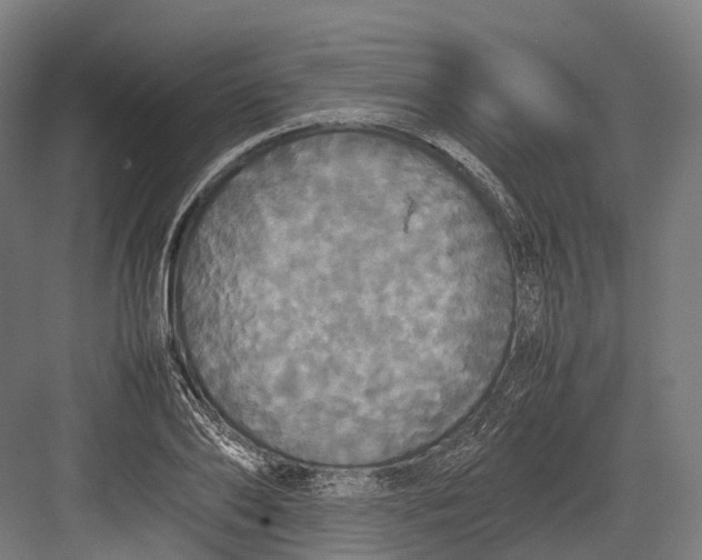 X0000082690886200702161721