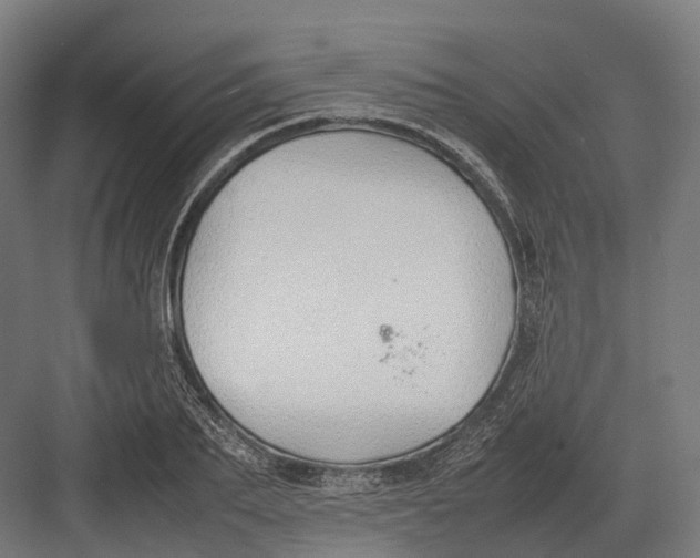 X0000082690887200702161721