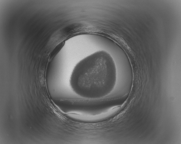 X0000082690889200702161721