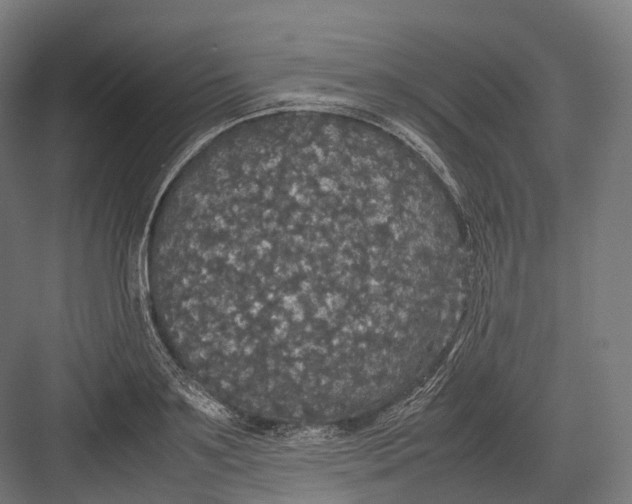 X0000082690891200702161721