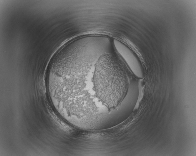 X0000082690892200702161721