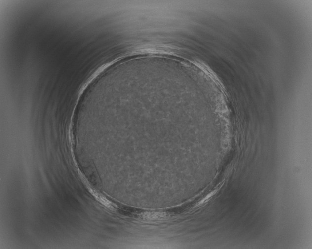 X0000082690893200702161721