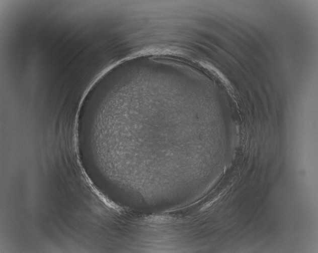 X0000082690894200702161721