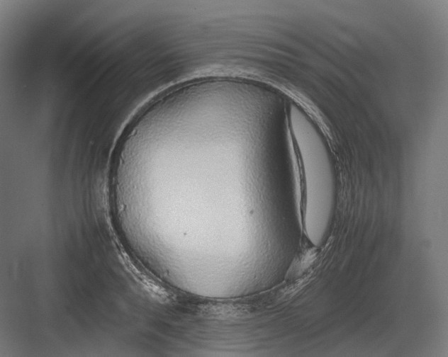 X0000082690896200702161721