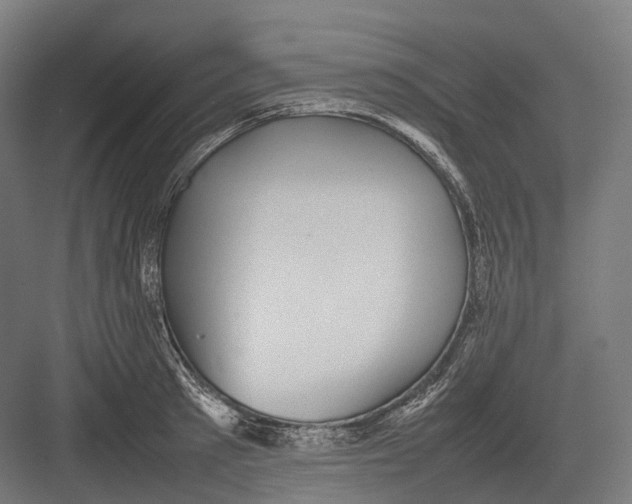 X0000082690897200702161721