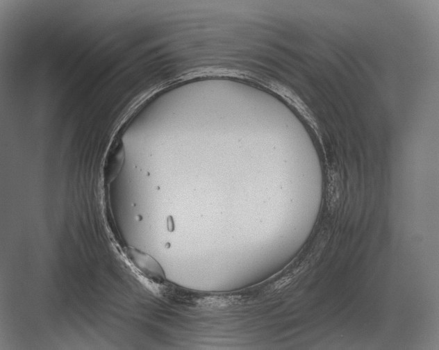 X0000082690898200702161721