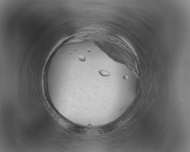 X0000082690899200702161721