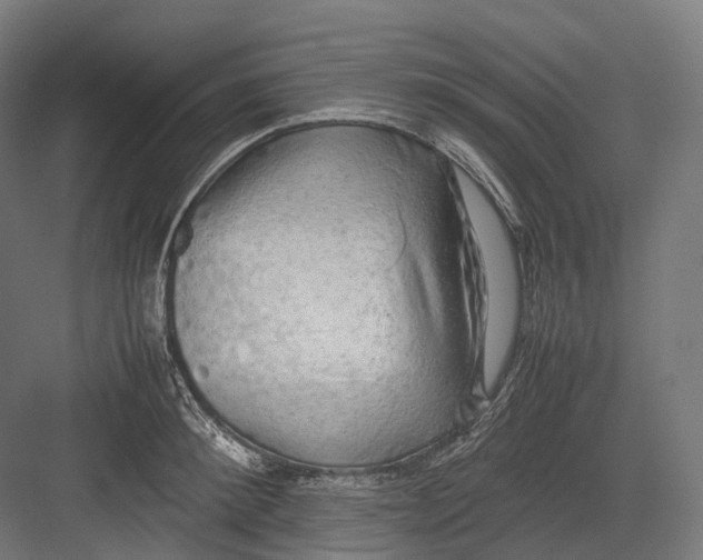 X0000082690900200702161721