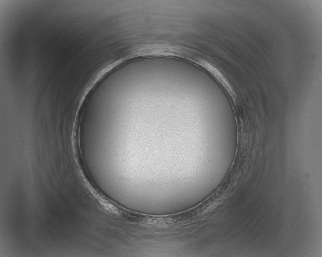 X0000082690901200702161721