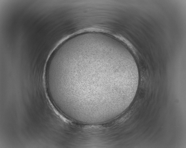 X0000082690902200702161721