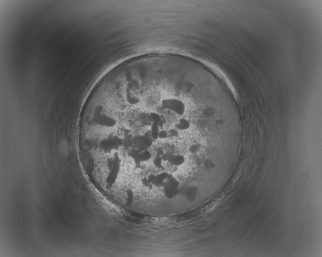 X0000082690903200702161721