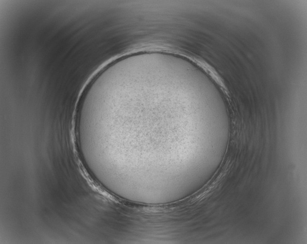 X0000082690904200702161721