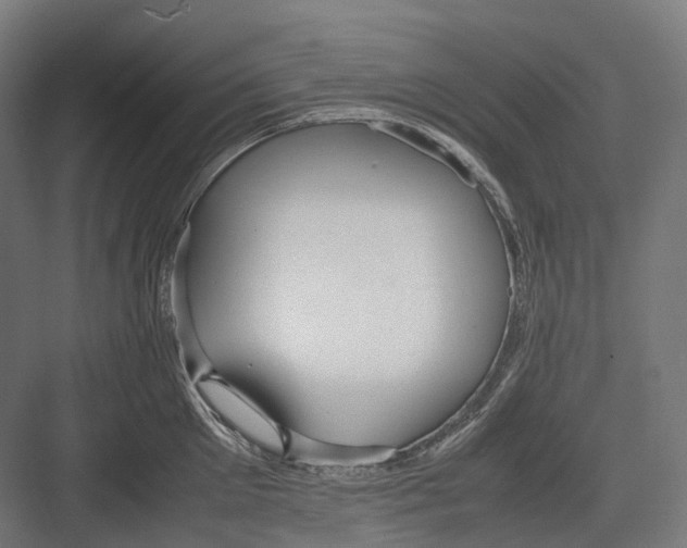 X0000082690905200702161721