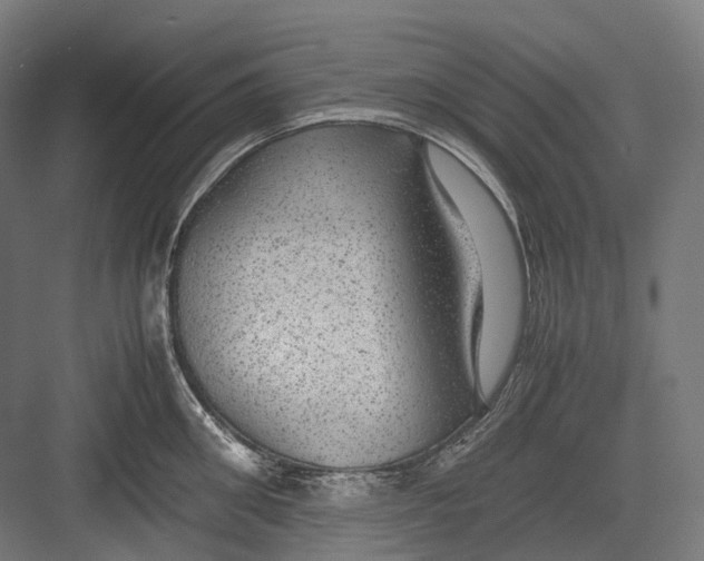 X0000082690906200702161721