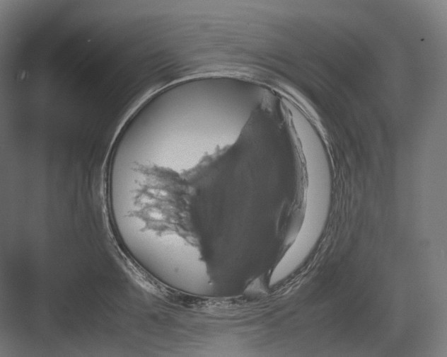 X0000082690907200702161721