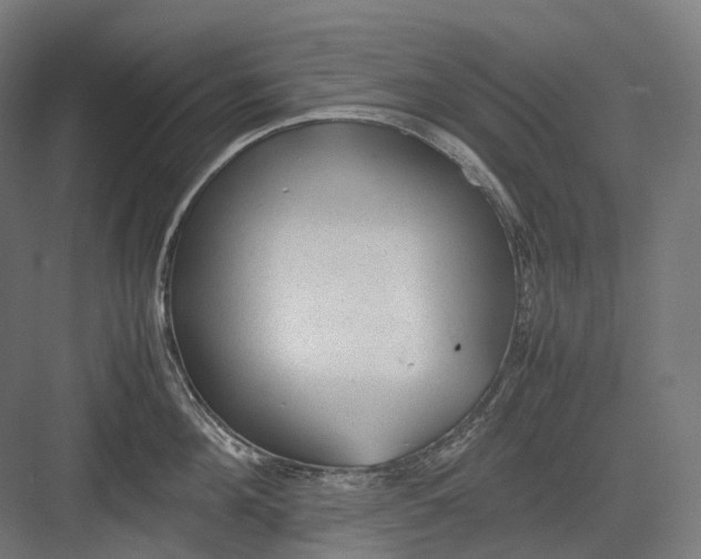 X0000082690908200702161721