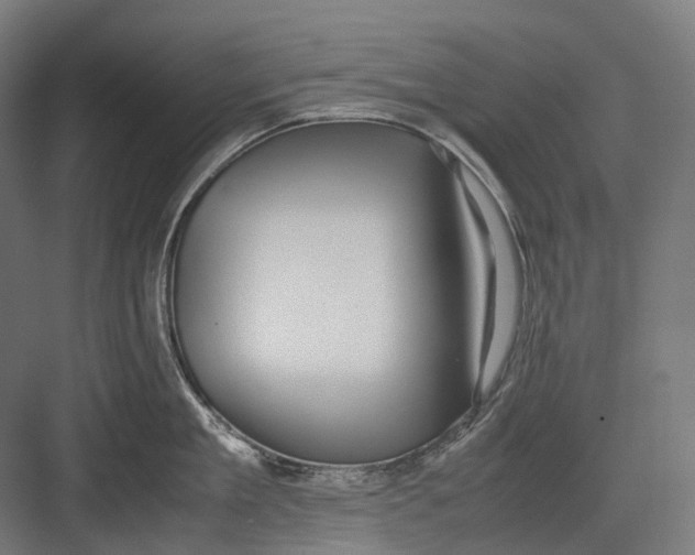 X0000082690909200702161721