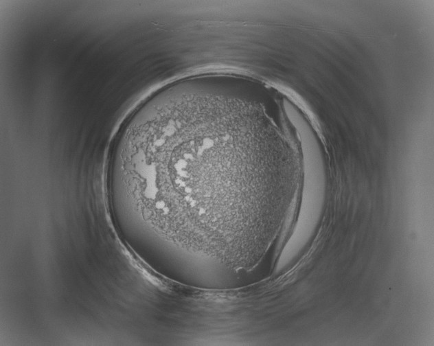 X0000082690910200702161721