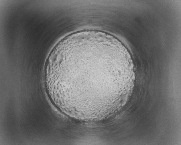 X0000082690911200702161721