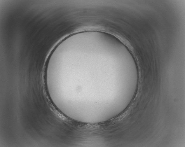 X0000082690912200702161721