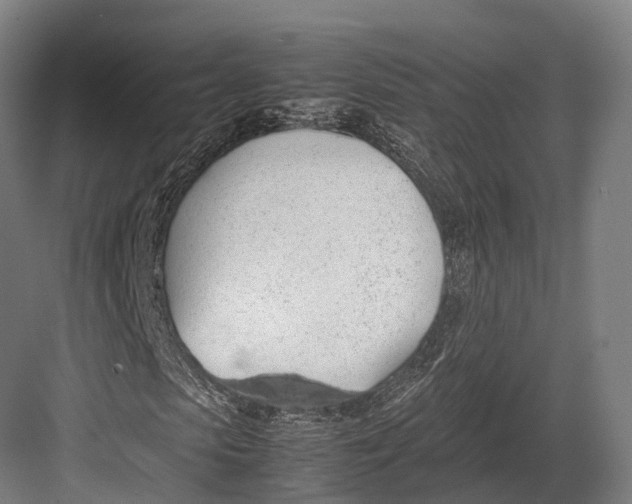 X0000082690913200702161720