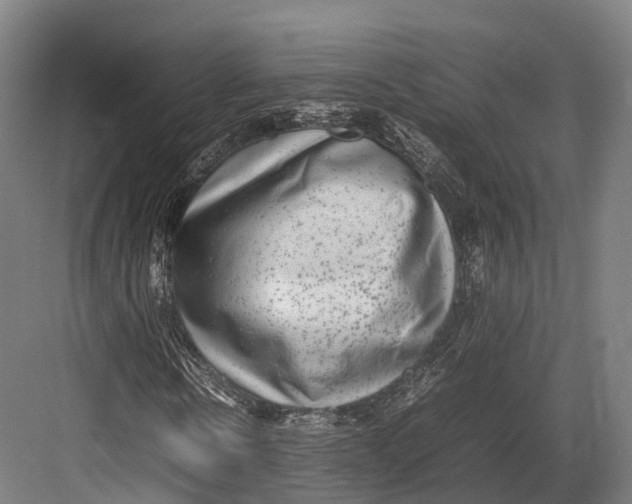 X0000082690914200702161720