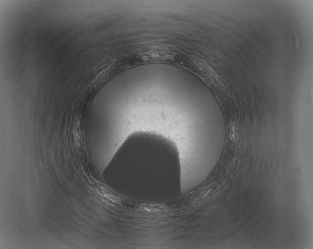 X0000082690915200702161720