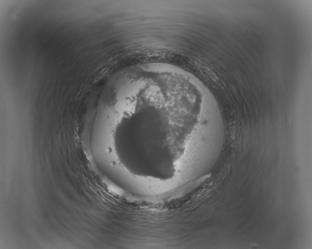 X0000082690916200702161720