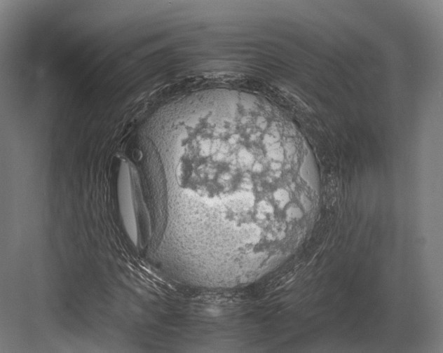 X0000082690917200702161720