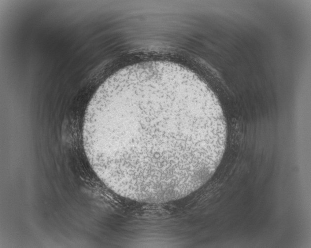 X0000082690918200702161720