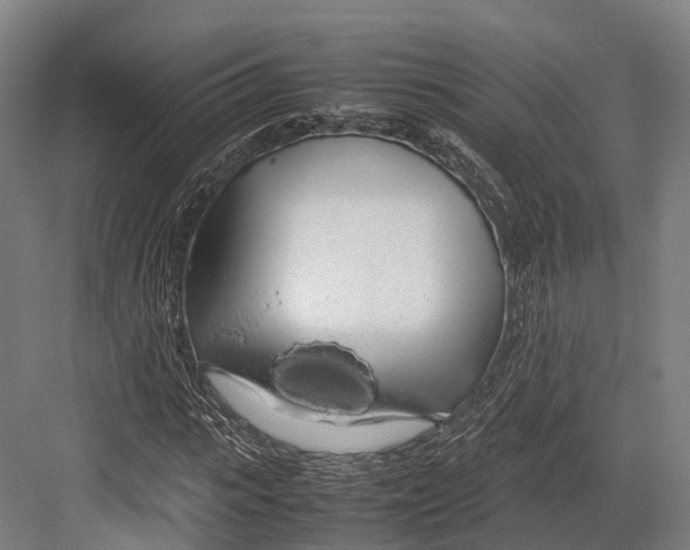 X0000082690919200702161720